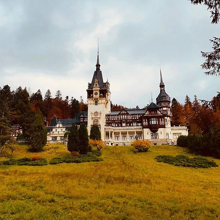 Wood Studio Sinaia Buitenkant foto