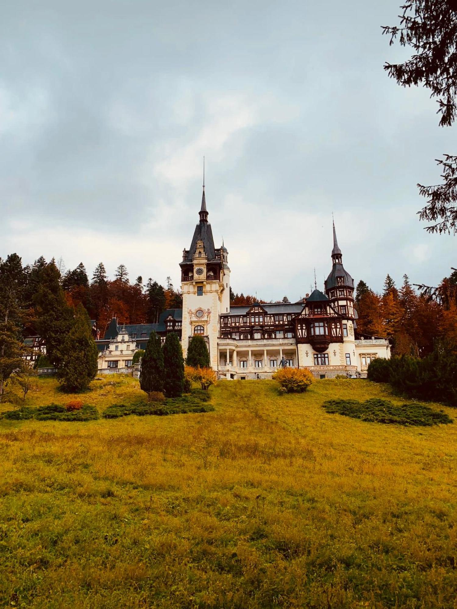 Wood Studio Sinaia Buitenkant foto